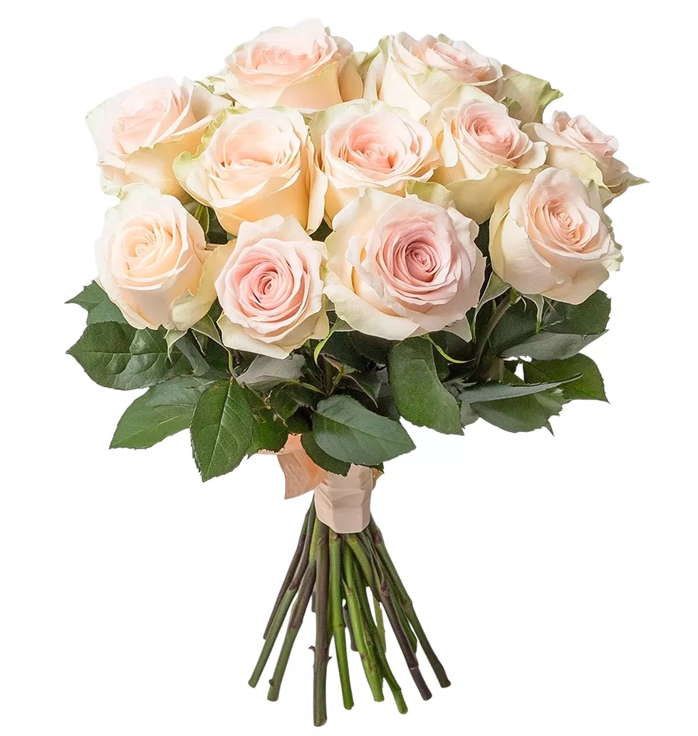 Sweet Heart Pink Roses