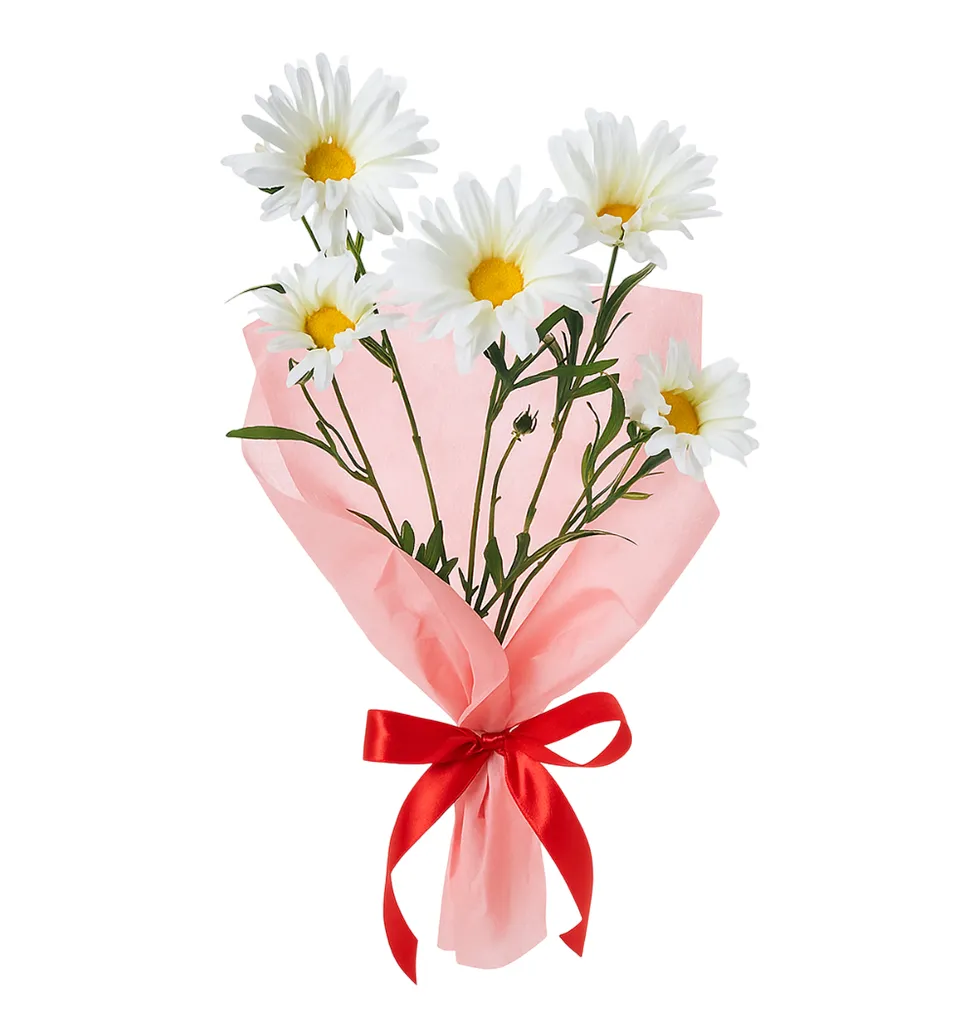 Elegant White Daisy Bunch