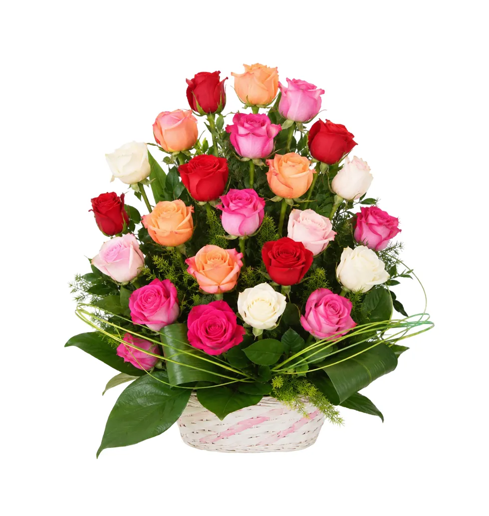 Vibrant Rose Symphony