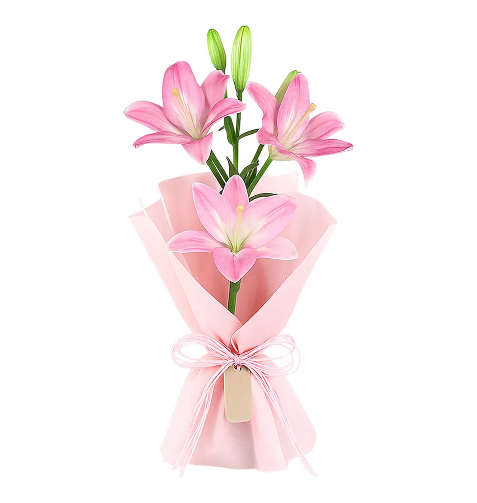 Vibrant Pink Asiatic Lilies