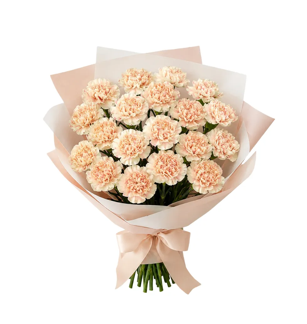 Elegant Essence Carnation Bouquet
