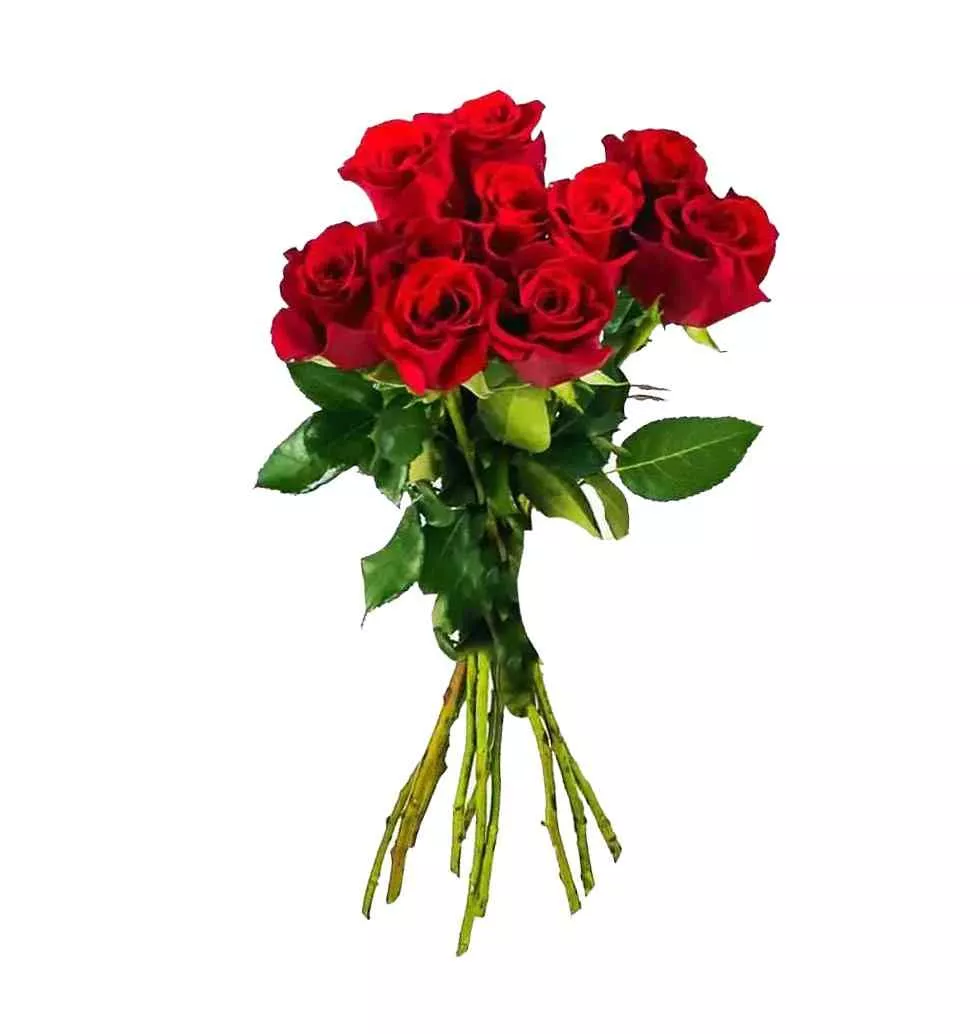 10 Premium Red Roses Bouquet