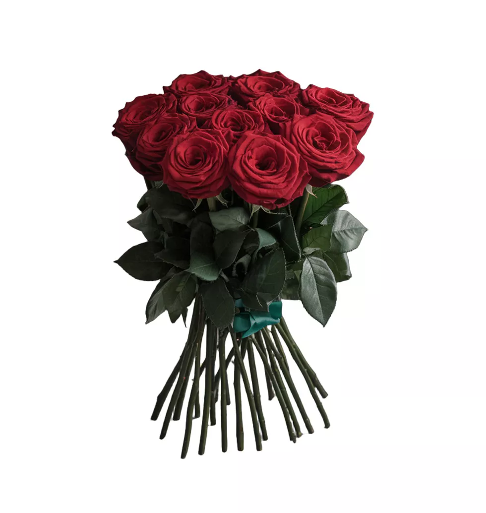 10 Premium Red Roses Bouquet