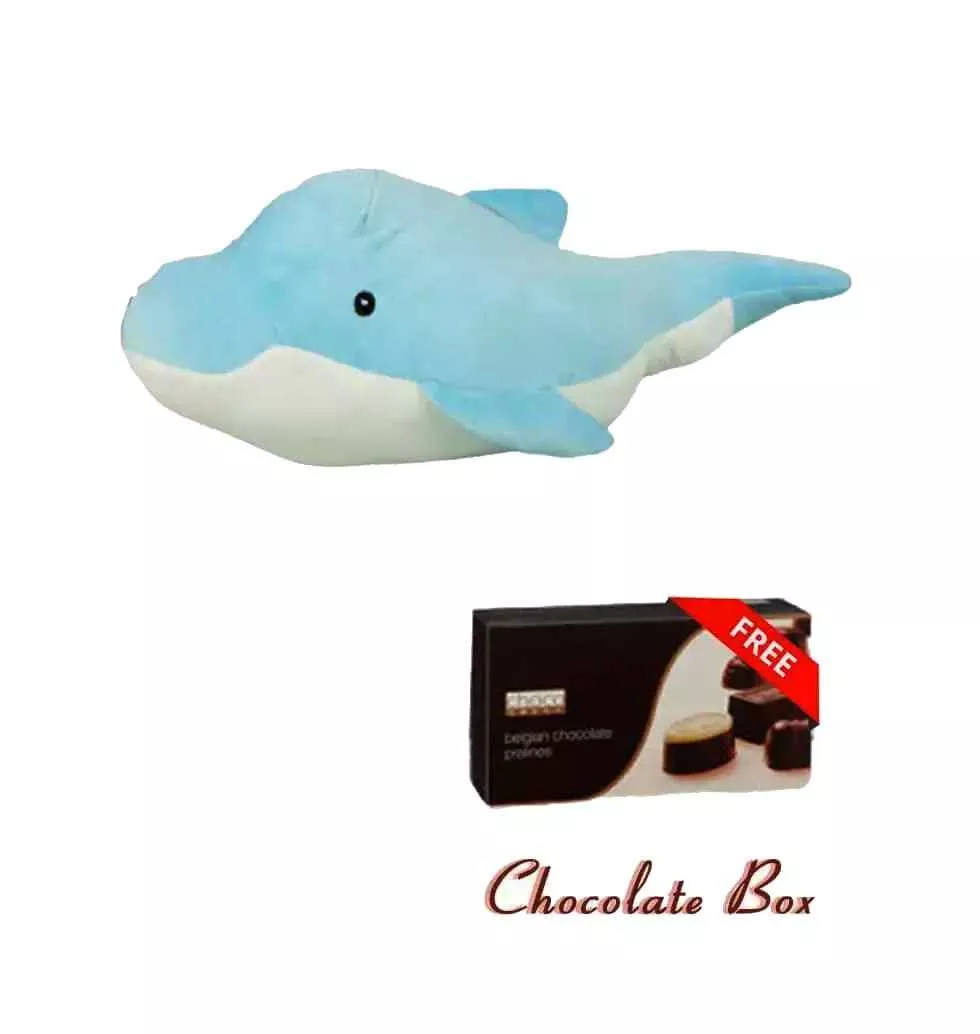 Adorable Dolphin and Chocolate Gift