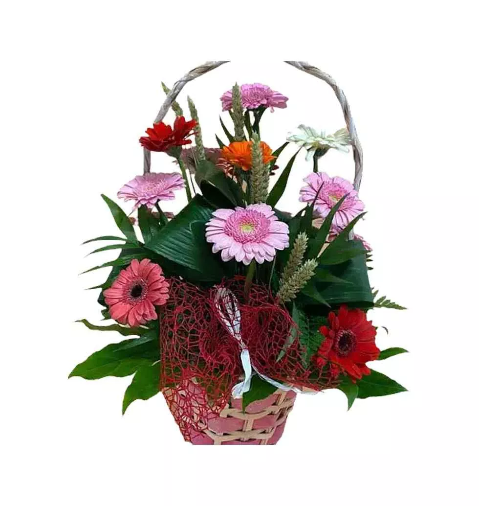 Aromatic Mothers Day Special Mixed Gerbera Basket
