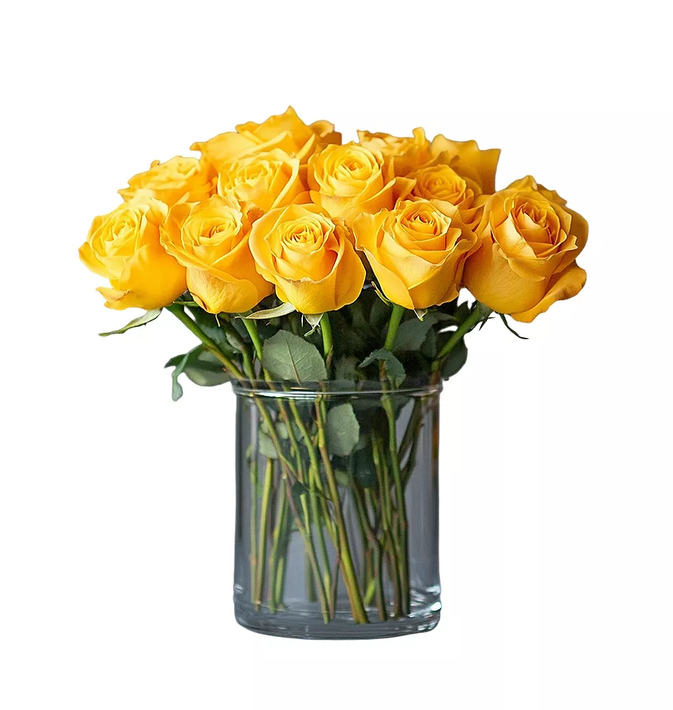 Soft-Textured 20 rose in a Glass