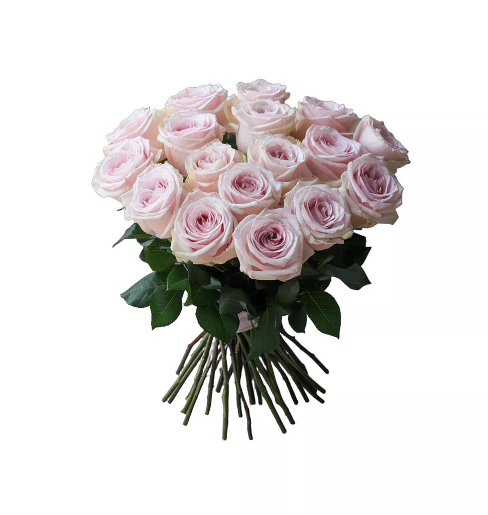 Blushing Beauty Rose Bouquet