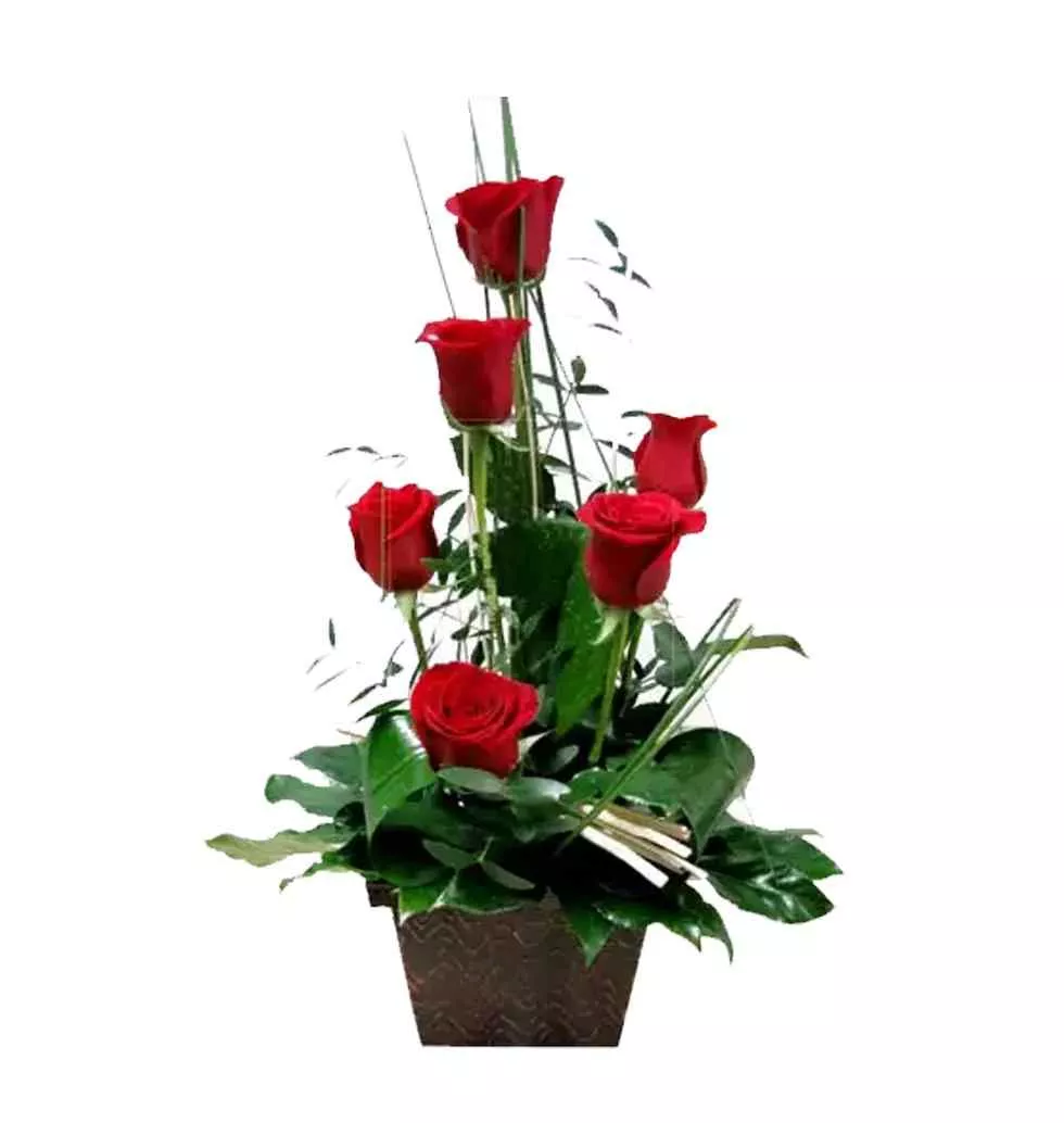 Cherished Bring on the Cheer 6 Red Roses Basket