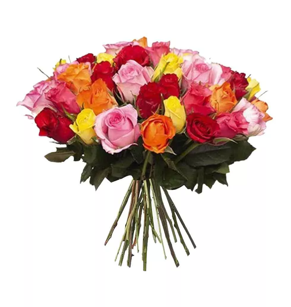Colorful Collection 50 Beautiful Roses
