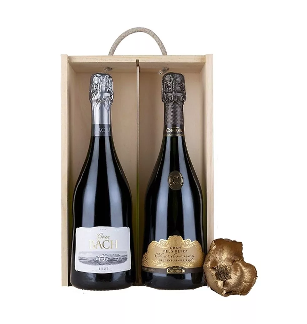 Deluxe Cava Gift Set