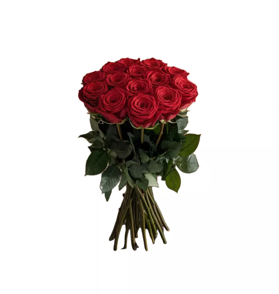 Dreamy Rose Day Gift of Red Roses Bouquet