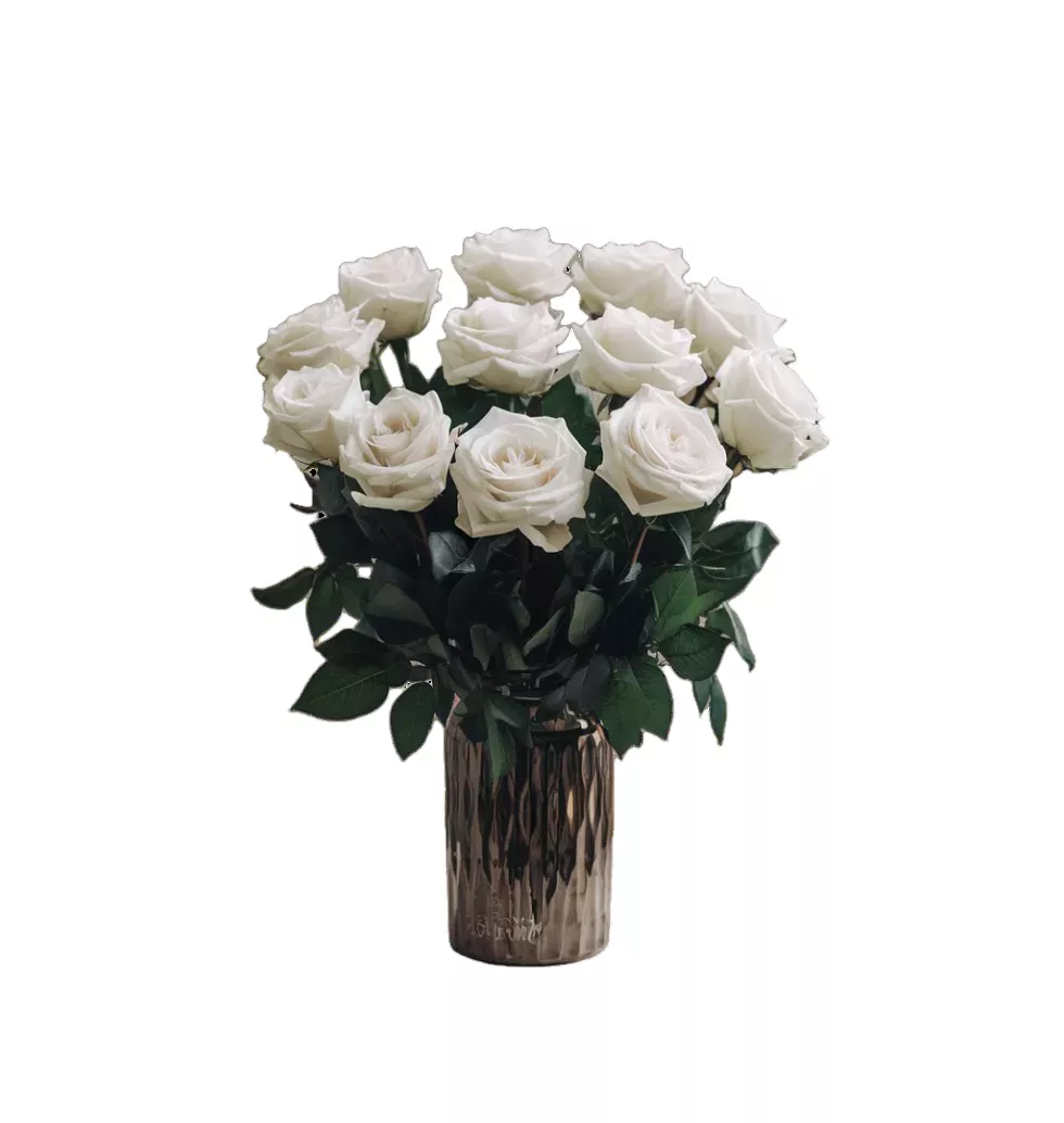Timeless White Rose Gift