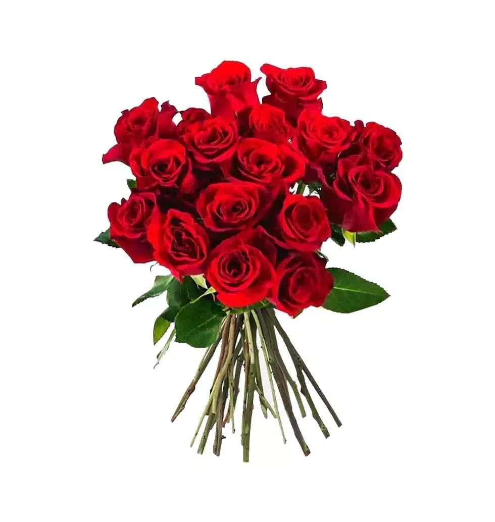 Elegant 18 Red Rose Bouquet