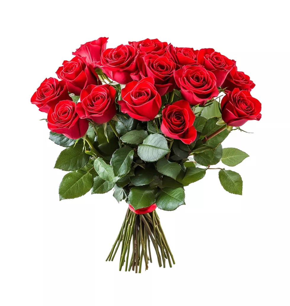 Elegant 18 Red Rose Bouquet