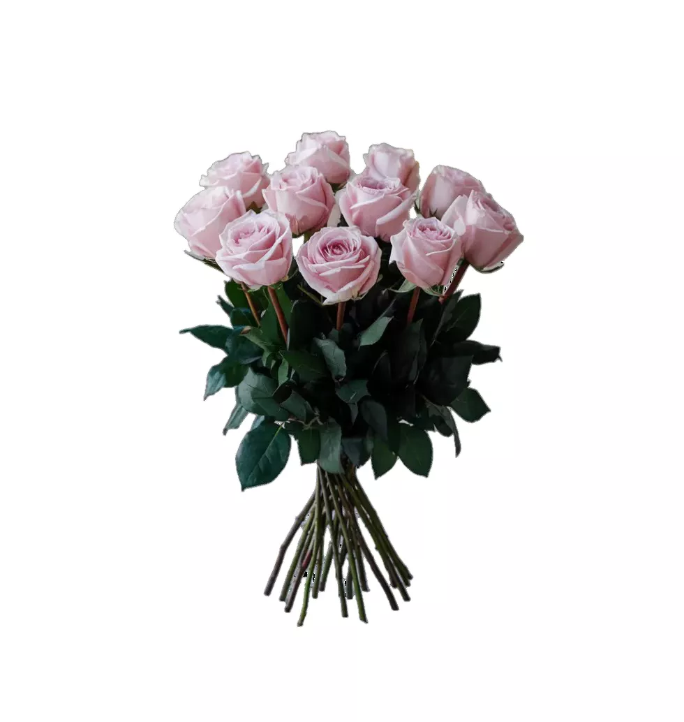 Sweet Heart Pink Roses