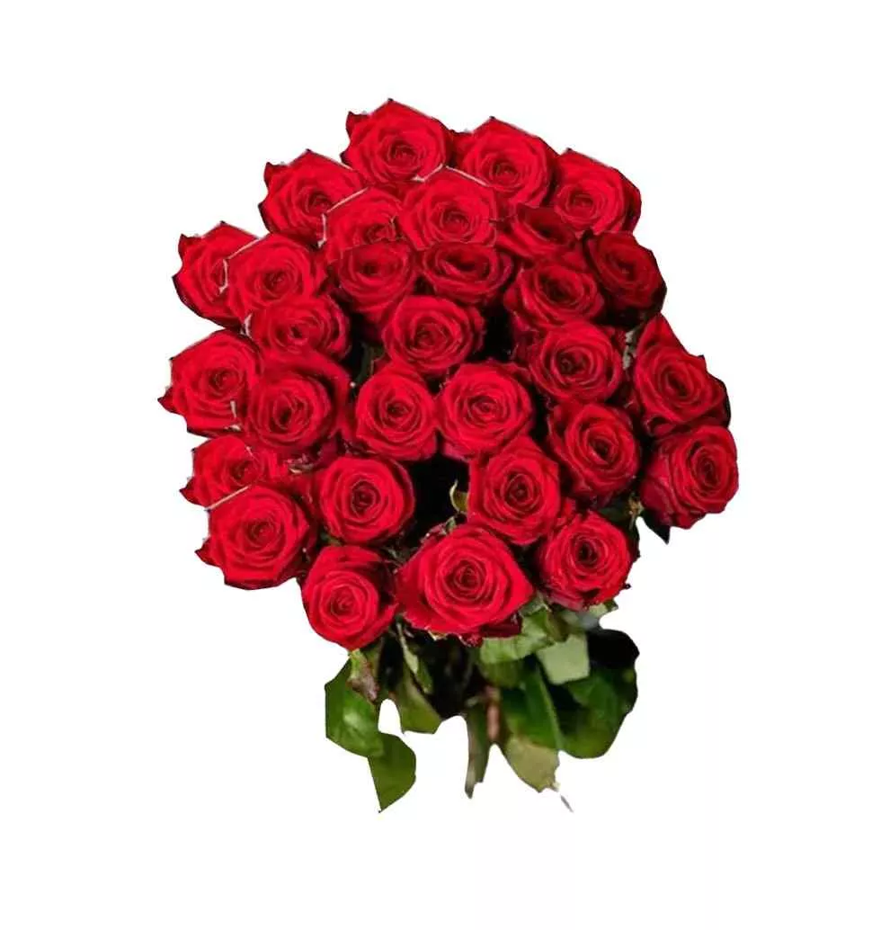 Enchanting Bouquet of Scarlet Roses