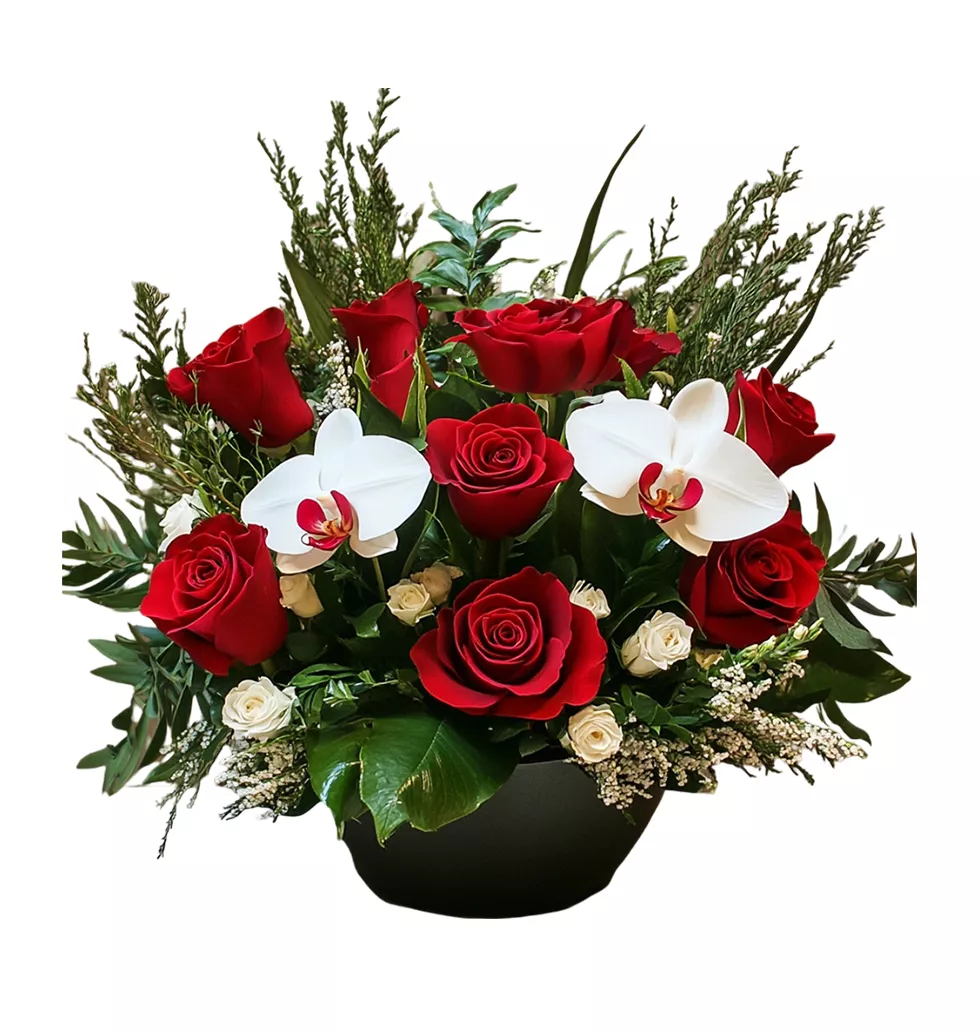 Orchid & Rose Delight