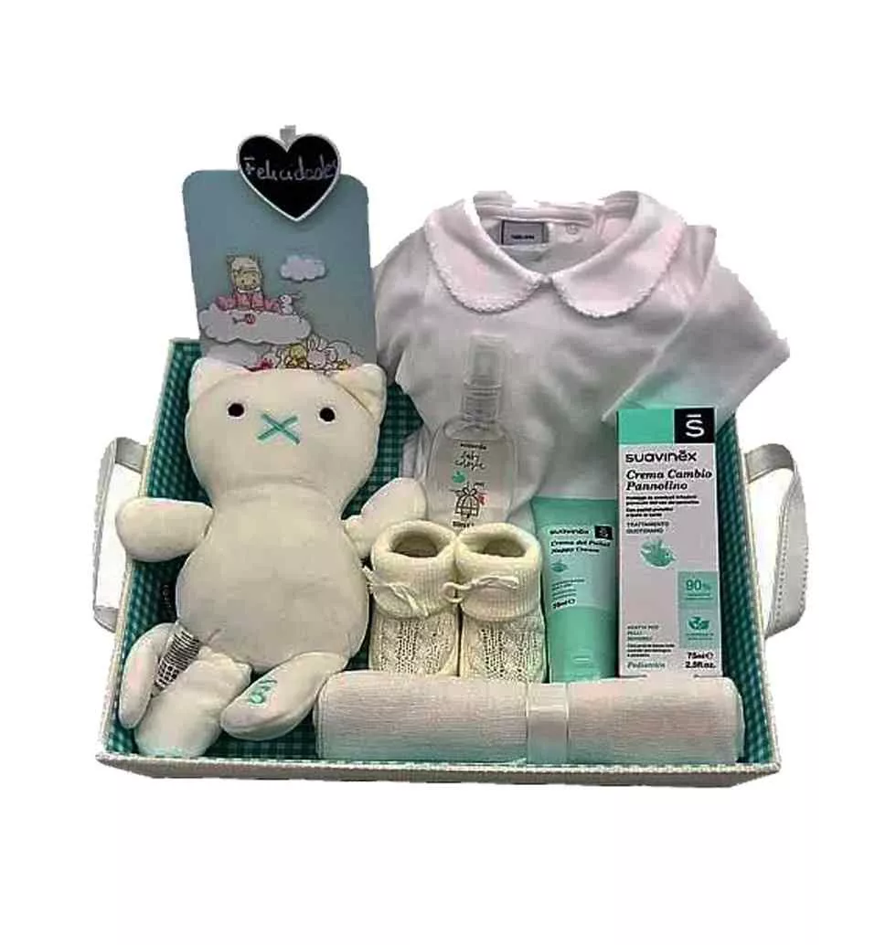 Exclusive New Born Baby Basket