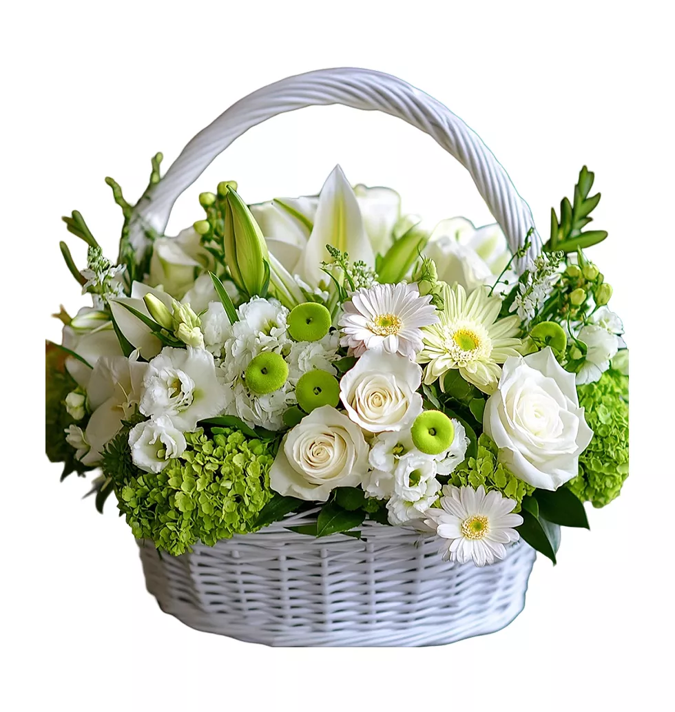 Serenity in White Wicker