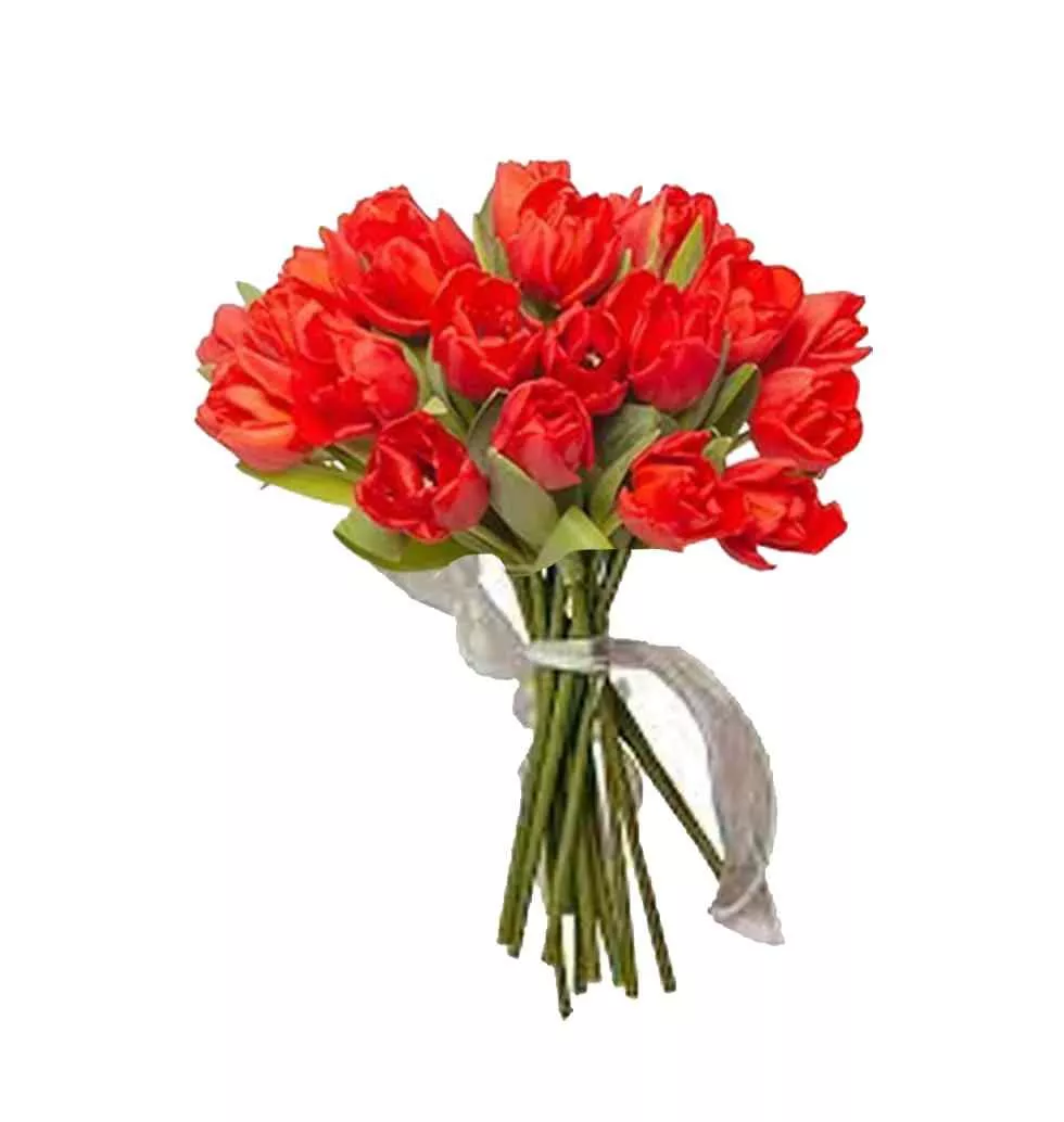 Heartfelt Symphony 20 Red Tulips