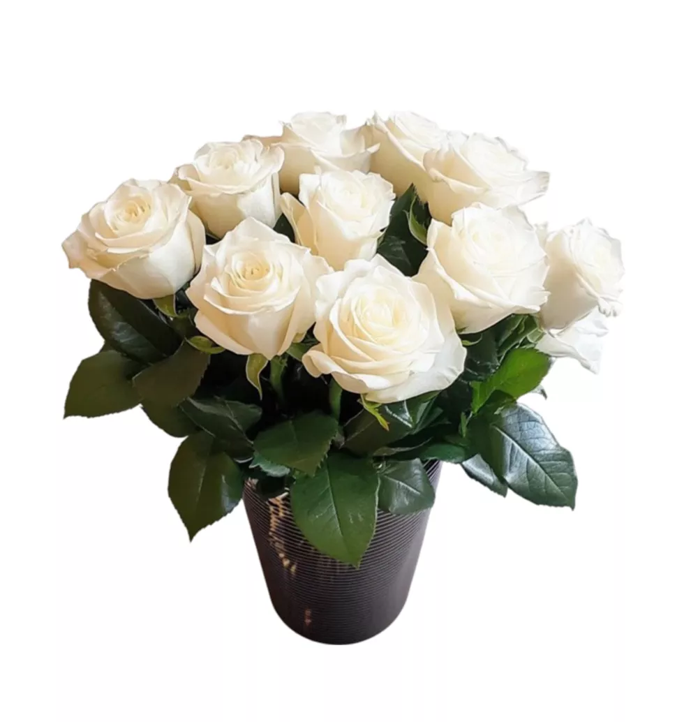 Timeless White Rose Centerpiece