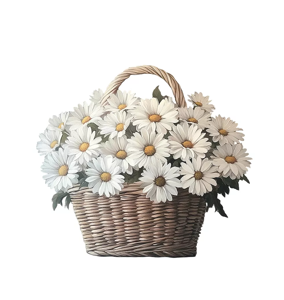 Majestic Gratitude Blooms White Daisies Basket