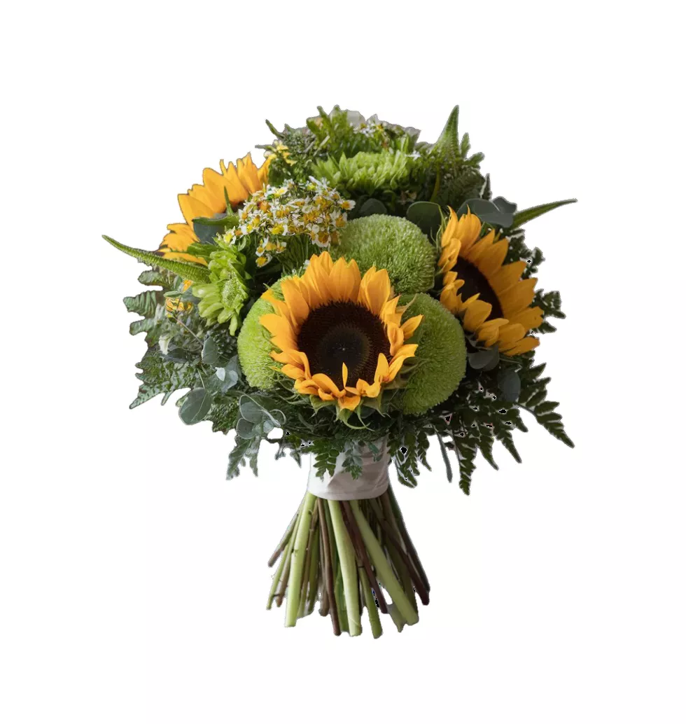 Green Daisy and Sunflower Bouquet