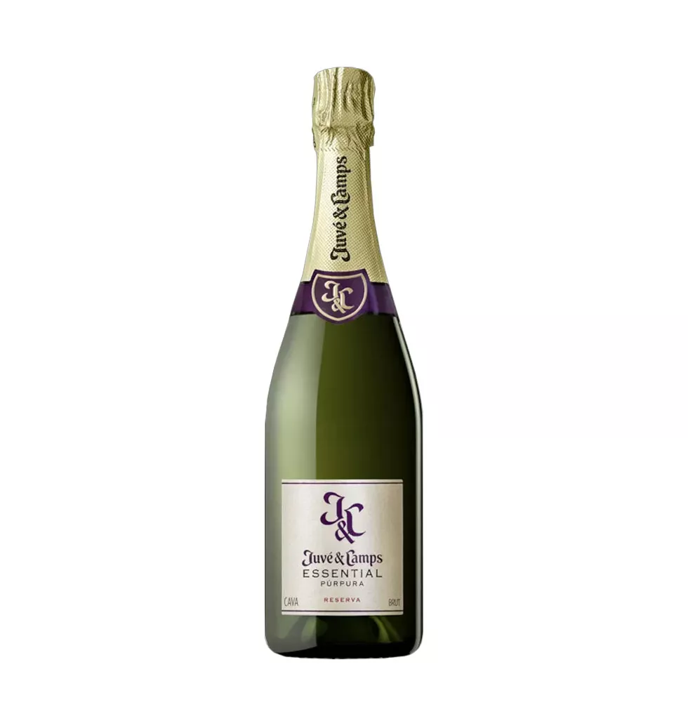 Flavors & Fun: Cocktail Party Pack