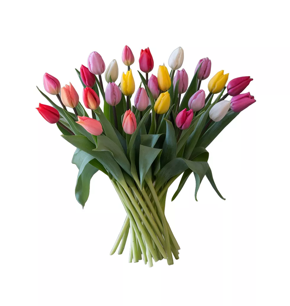 Eye-Catching Tulip Bouquet