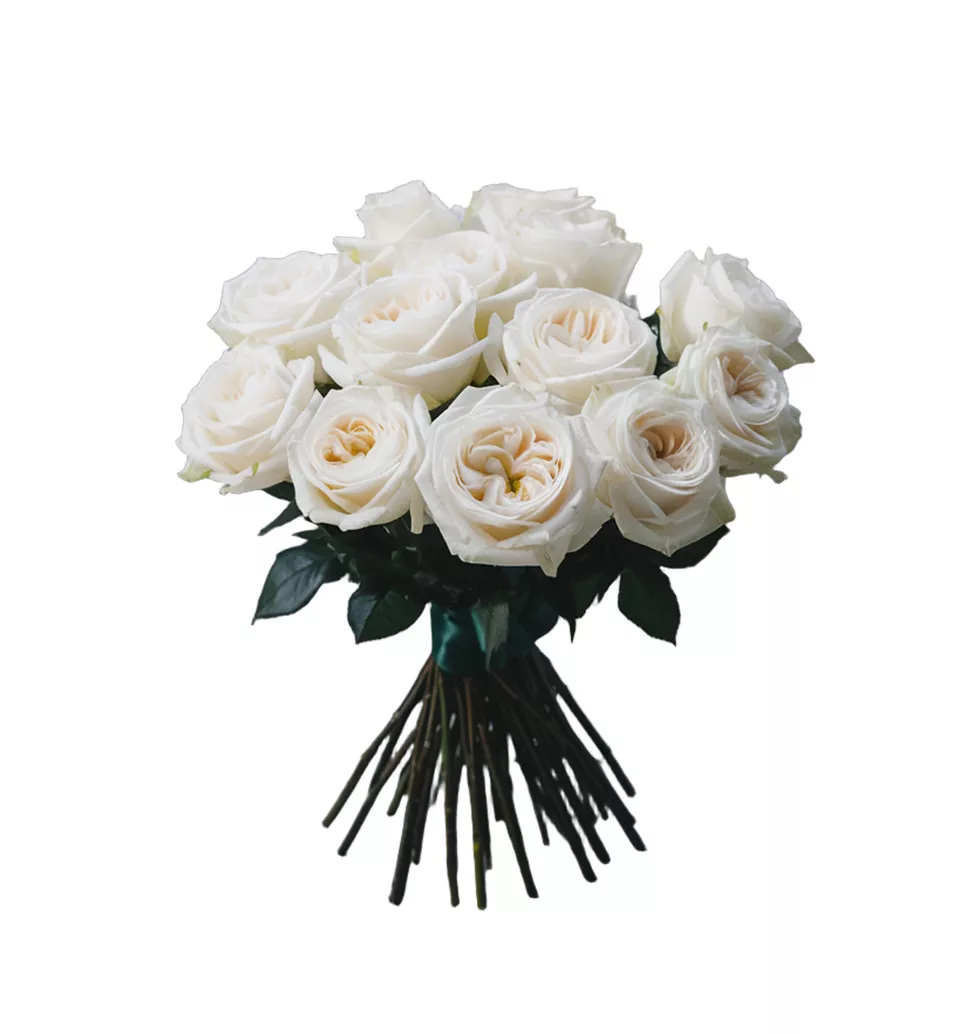Pure Moments White Roses