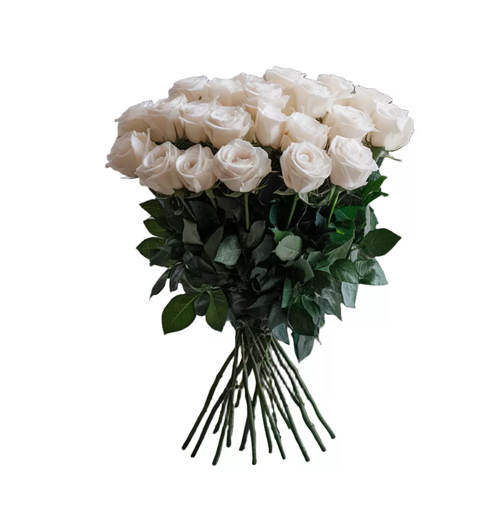 Pure Essence White Roses
