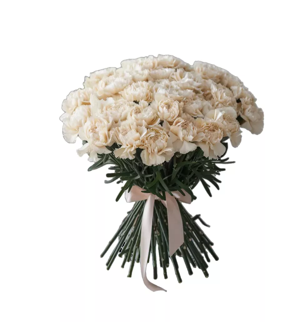 Elegant Essence Carnations