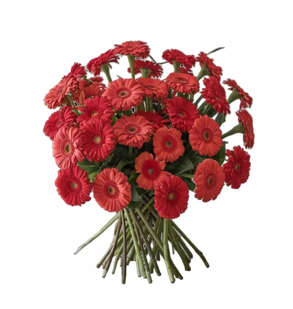 Colorful Gerbera Celebration