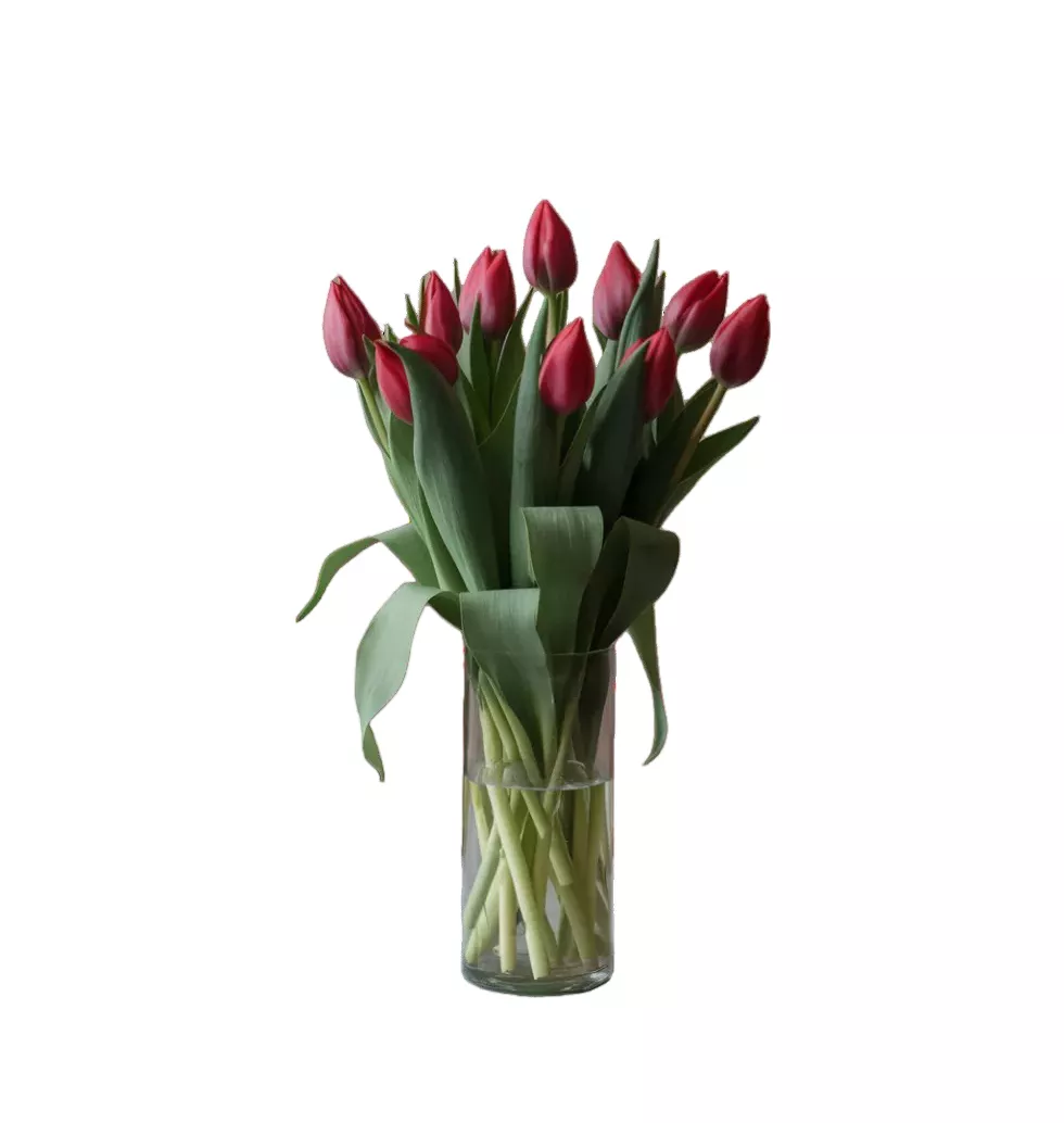 Romantic Red Tulip Bunch