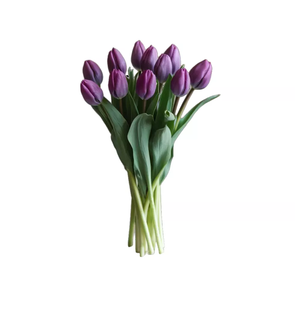 Enchanted Tulip Bouquet