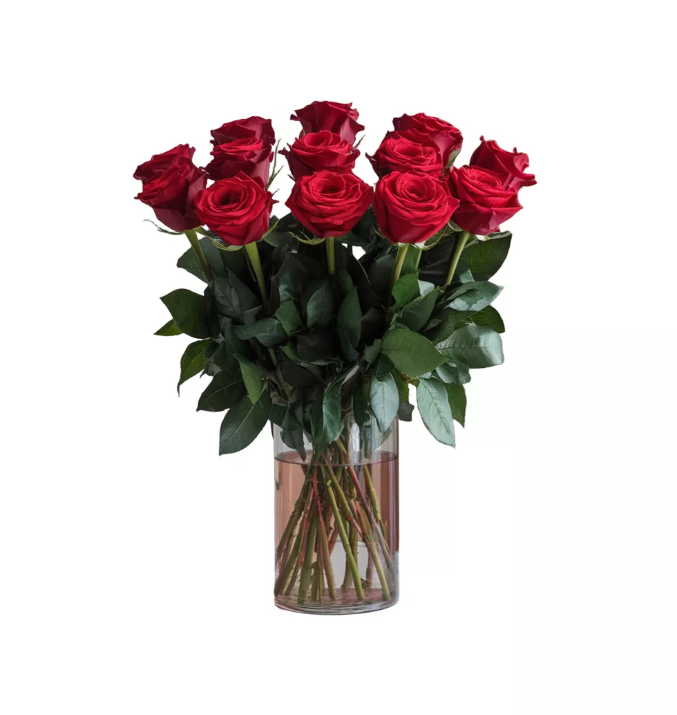 Velvet Red Roses Bouquet
