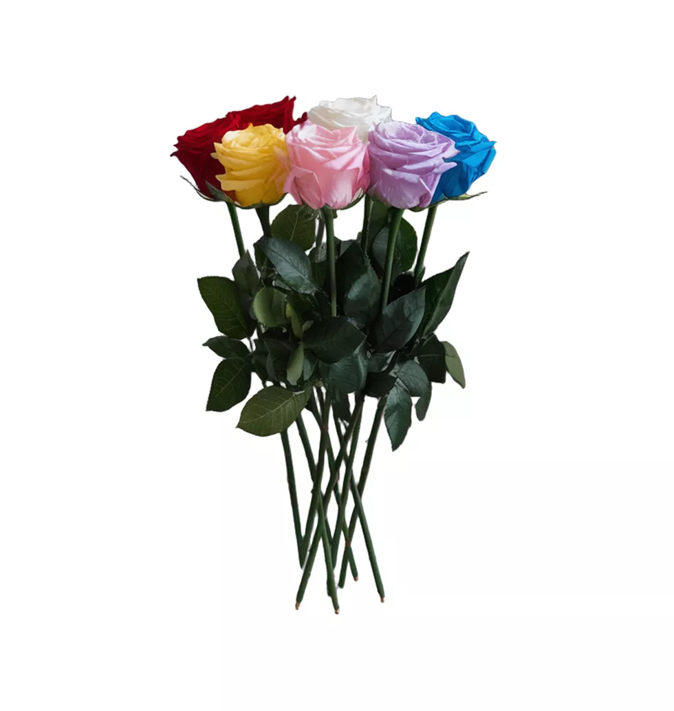 6 Dynamic Rose Bouquet