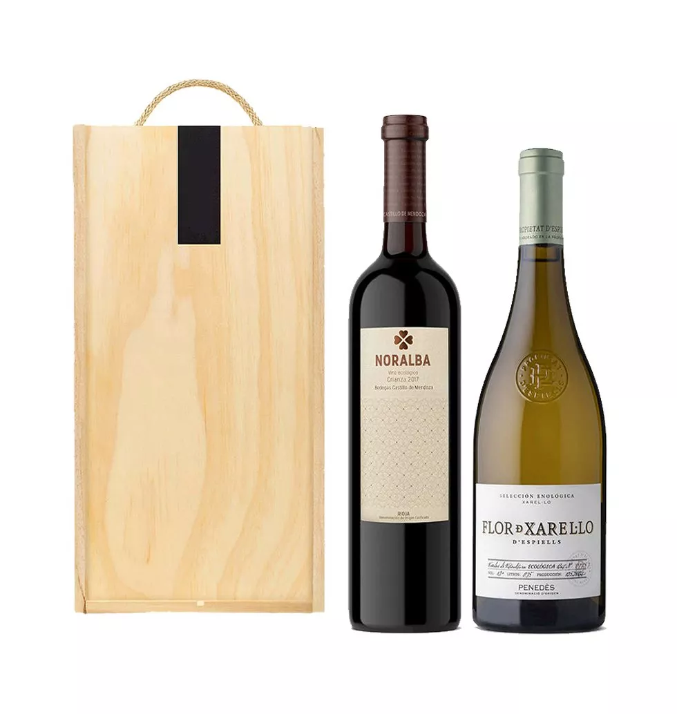 Classic Sustainable Gift for Wine Enthusiasts