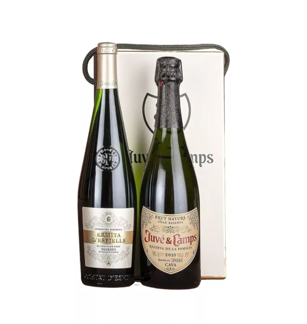 Organic Cava and Wine Case