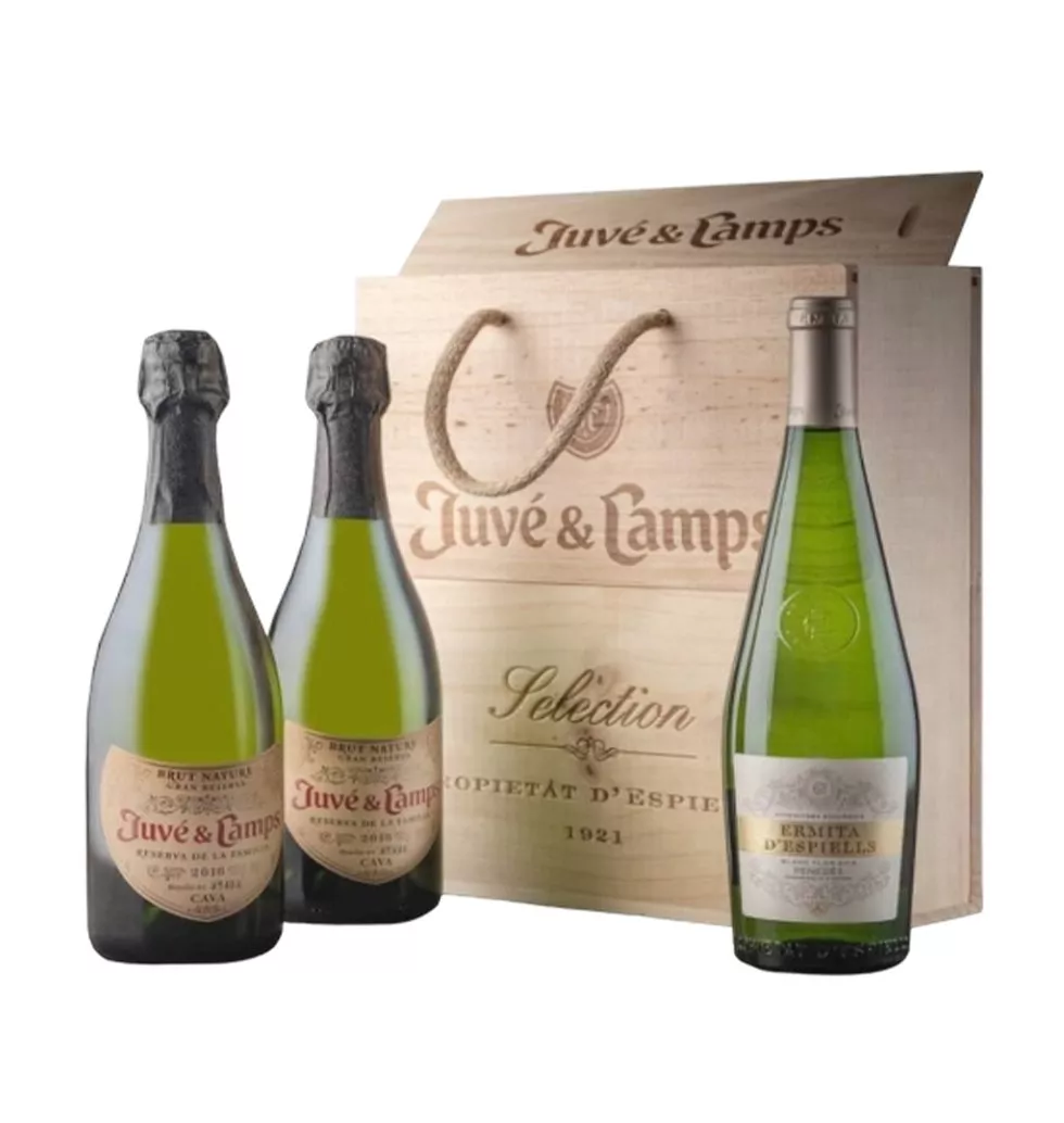 Organic Cava and Wine Gift Set