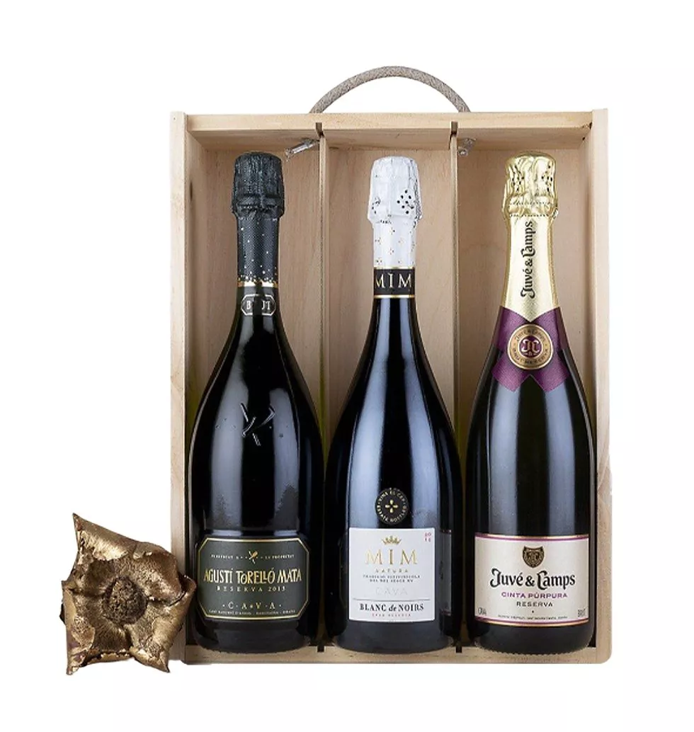 Exclusive Cava Gift Presentation