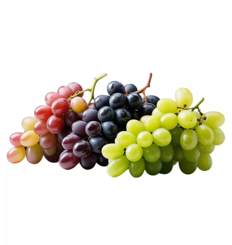Orchard-Fresh Fruit Collection