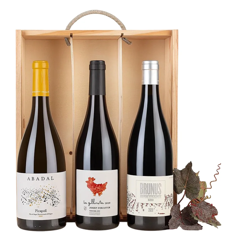 Taste of Catalonia Wine Set