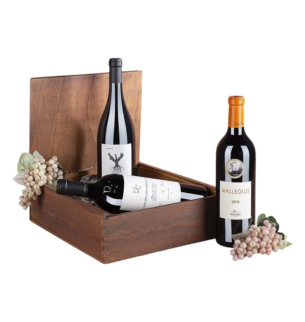 Elite Spanish Vineyard Wine Collection