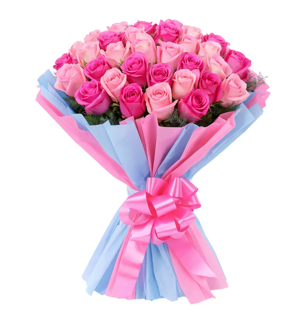 Vibrant Pink Rose Collection