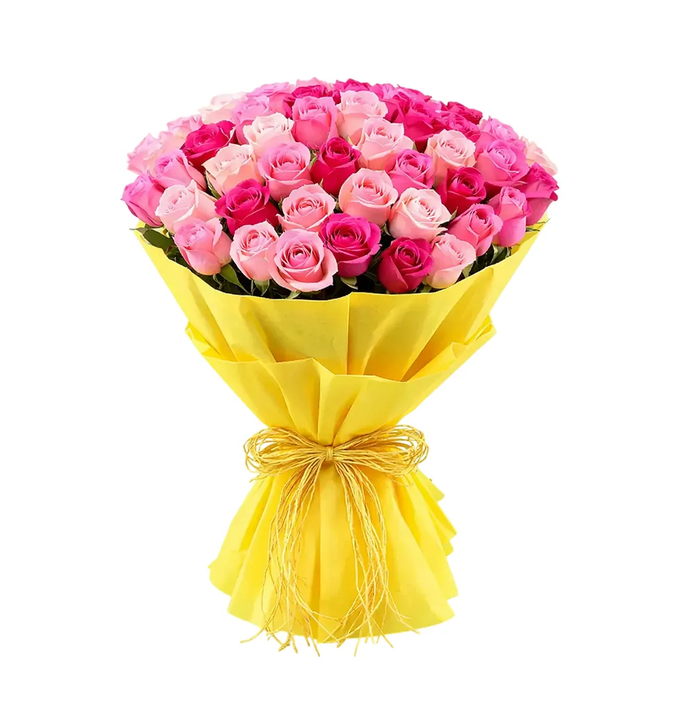 Exquisite Pink Rose Collection