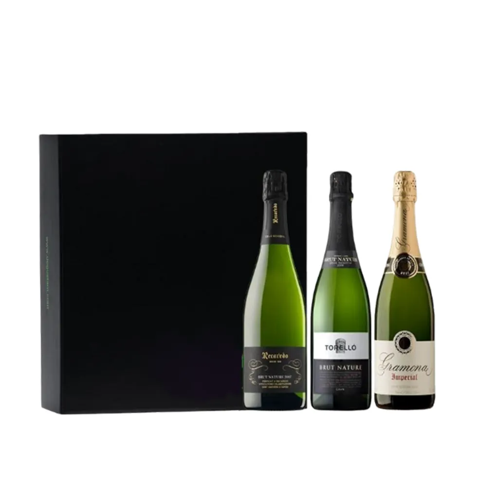 Premier Gran Reserva Cava Selection