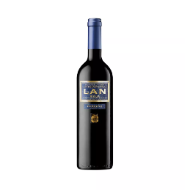Fine Spanish Wine & Treats Set